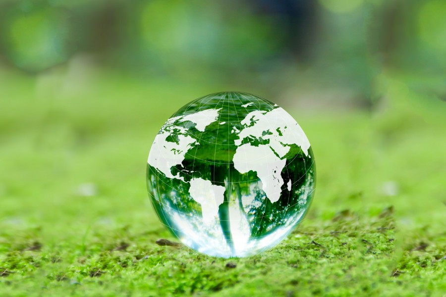 green1-900x600